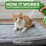 GoneNaturally Flea and Tick Spray for Cats