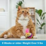 Waterproof Flea and Tick Treatment for Large Cats