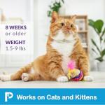 Waterproof Flea and Tick Treatment for Cats