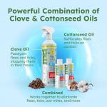 BugMD Flea and Tick Control for Dogs, 2 Pack