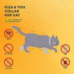 Flea and Tick Prevention Collars for Cats, 4 Pack