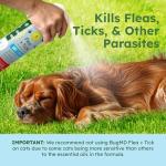 BugMD Flea and Tick Control for Dogs, 2 Pack