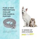 Dog Flea and Tick Prevention Collars - Adjustable Options