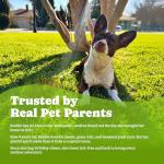 YoYoBay Natural Flea & Tick Chews for Dogs