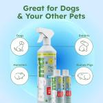 BugMD Flea and Tick Control for Dogs, 2 Pack