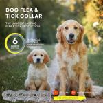 Dog Flea and Tick Prevention Collars - Adjustable Options