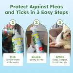 BugMD Flea and Tick Control for Dogs, 2 Pack