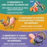 Grain Free Wet Dog Food Variety Pack - 6 Cans