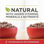 Purina ONE True Instinct Wet Dog Food Variety Pack