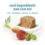 Beneful Incredibites Wet Dog Food Variety Pack