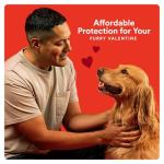 Advecta Ultra Flea & Tick Treatment for Dogs