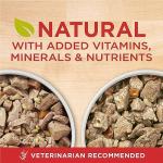 Purina ONE Tender Cuts Wet Dog Food Variety Pack