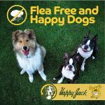 Happy Jack Flea and Tick Powder for Dogs