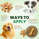 Natural Flea and Tick Drops for Dogs - 2 Pack