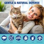 Natural Flea and Tick Chews for Cats