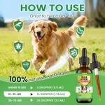 Natural Flea and Tick Drops for Dogs - 2 Pack