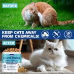 Natural Flea and Tick Chews for Cats