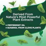 Vet's Best Plant-Based Flea and Tick Spray