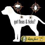 Happy Jack Flea and Tick Powder for Dogs