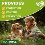 Natural Flea and Tick Prevention for Pets