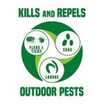 Flick! Max Strength Natural Flea Shampoo for Dogs