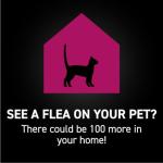 Flea and Tick Prevention Drops for Cats