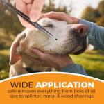 Stainless Steel Tick Removal Tool for Pets