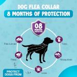 Natural Flea and Tick Collar for Dogs (2 Pack)