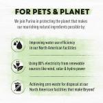 Grain Free Wet Dog Food Variety Pack - 6 Cans