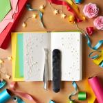 Silver 2-in-1 Tick Removal Tool for Pets