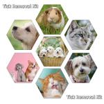 Tick Removal Tool Kit for Cats and Dogs