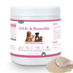 Dog Joint Support Powder with Glucosamine and MSM