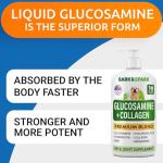 BARK&SPARK Liquid Glucosamine Joint Supplement for Dogs