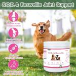 Dog Joint Support Powder with Glucosamine and MSM