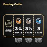 Cesar Classic Wet Dog Food Variety Pack