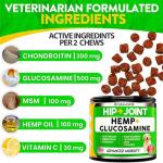 Hemp Joint Supplement for Dogs - 170 Treats