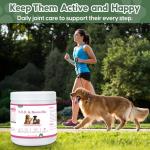 Dog Joint Support Powder with Glucosamine and MSM
