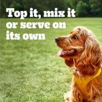 PEDIGREE Soft Wet Dog Food Variety Pack