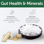 Nature's Protection Grain Free Joint Health Dog Treats