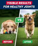 Bacon-Flavored Glucosamine Chews for Dog Joints