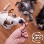 Missing Link Hip & Joint Soft Chews for Dogs