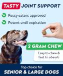 Bacon-Flavored Glucosamine Chews for Dog Joints