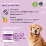 Herbion Pets Joint Care Chews for Dogs