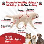 Dog Hip and Joint Chews with Glucosamine & Turmeric