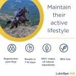 LubriSynHA Joint Care Supplement for Pets - 64oz