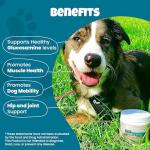 PawMedica Glucosamine Chews for Dog Joint Care