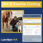 Hyaluronic Acid Joint Care for Dogs, Cats, Horses