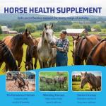 Horse Joint Supplement with MSM for Mobility