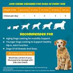 PawMedica Glucosamine Chews for Dog Joint Care