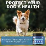 Hip & Joint Soft Chews for Dogs 120ct